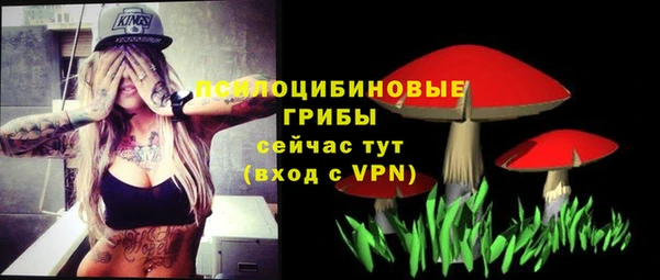 Альфа ПВП Нязепетровск
