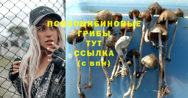 стафф Нягань