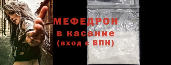 сатива Новозыбков