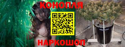 индика Изобильный