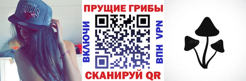 Галлюциногенные грибы Cubensis  купить  сайты  omg маркетплейс  Котовск 