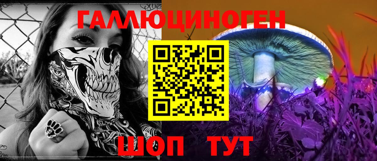 Псилоцибиновые грибы Psilocybe Котовск