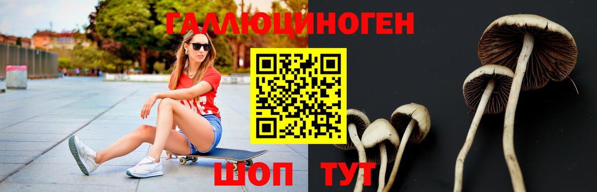Галлюциногенные грибы Psilocybe  Галлюциногенные грибы мухоморы  Котовск  Вход с VPN 